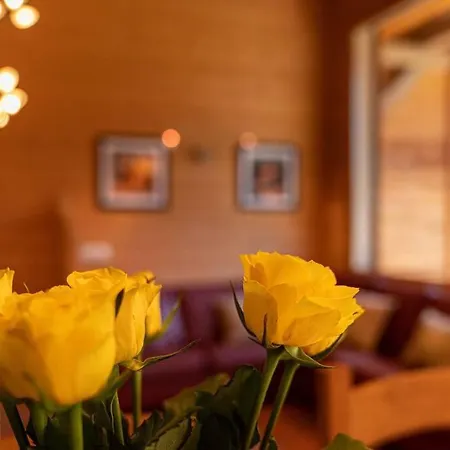 아파트 La Cloche Des Bois - 3 Bedroom Chalet 샤모니